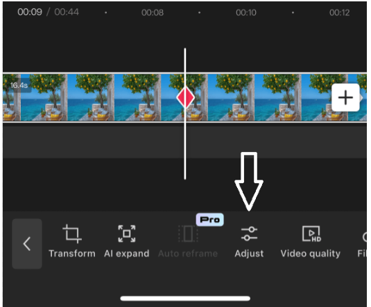 Adjust Button on CapCut