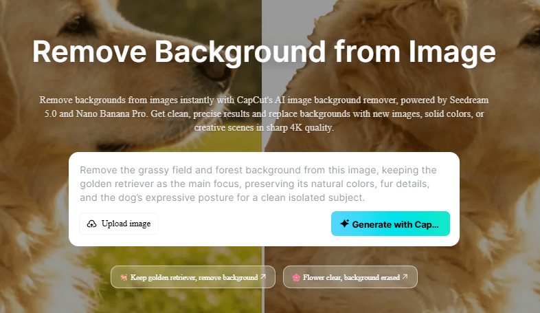 CapCut AI Image Background Remover Feature