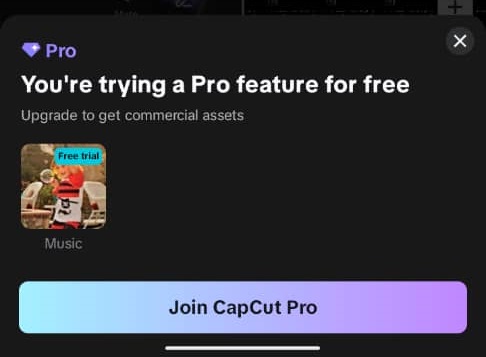 CapCut Pro Feature interface