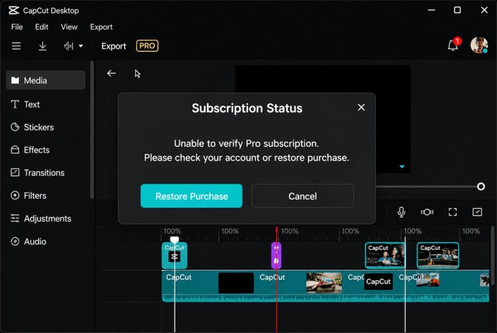 CapCut Desktop Not Recognizing Pro Subscription