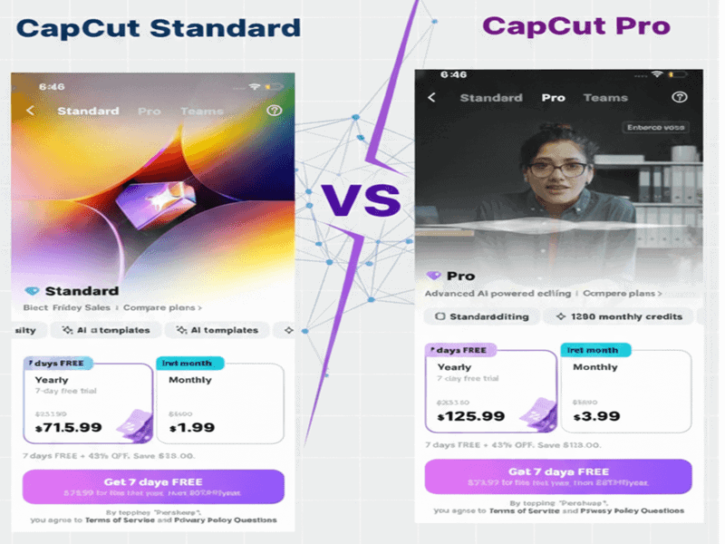 capcut standard vs pro plans image showing both plans side by side