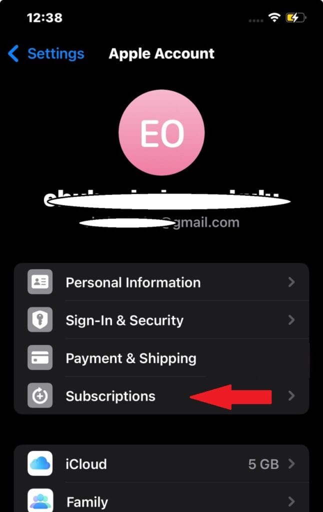 Apple Account settings screen showing the Subscriptions option on iPhone