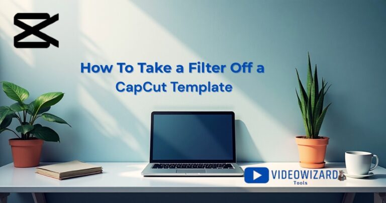 Can You Take a Filter Off a CapCut Template
