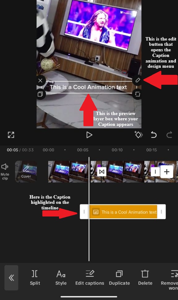 CapCut Time and preview interface