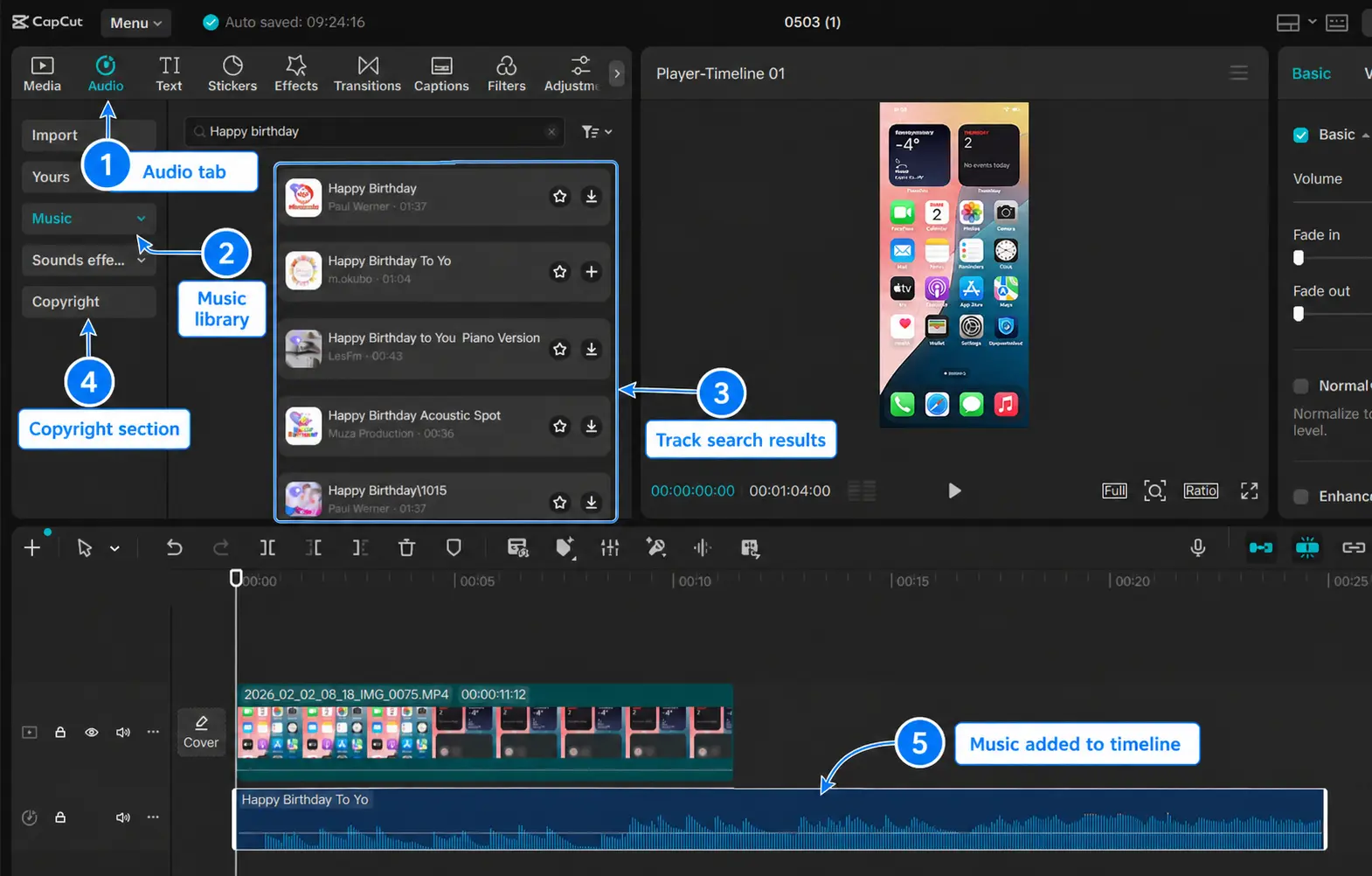 Audio Sound Selection Interface on CapCut Desktop