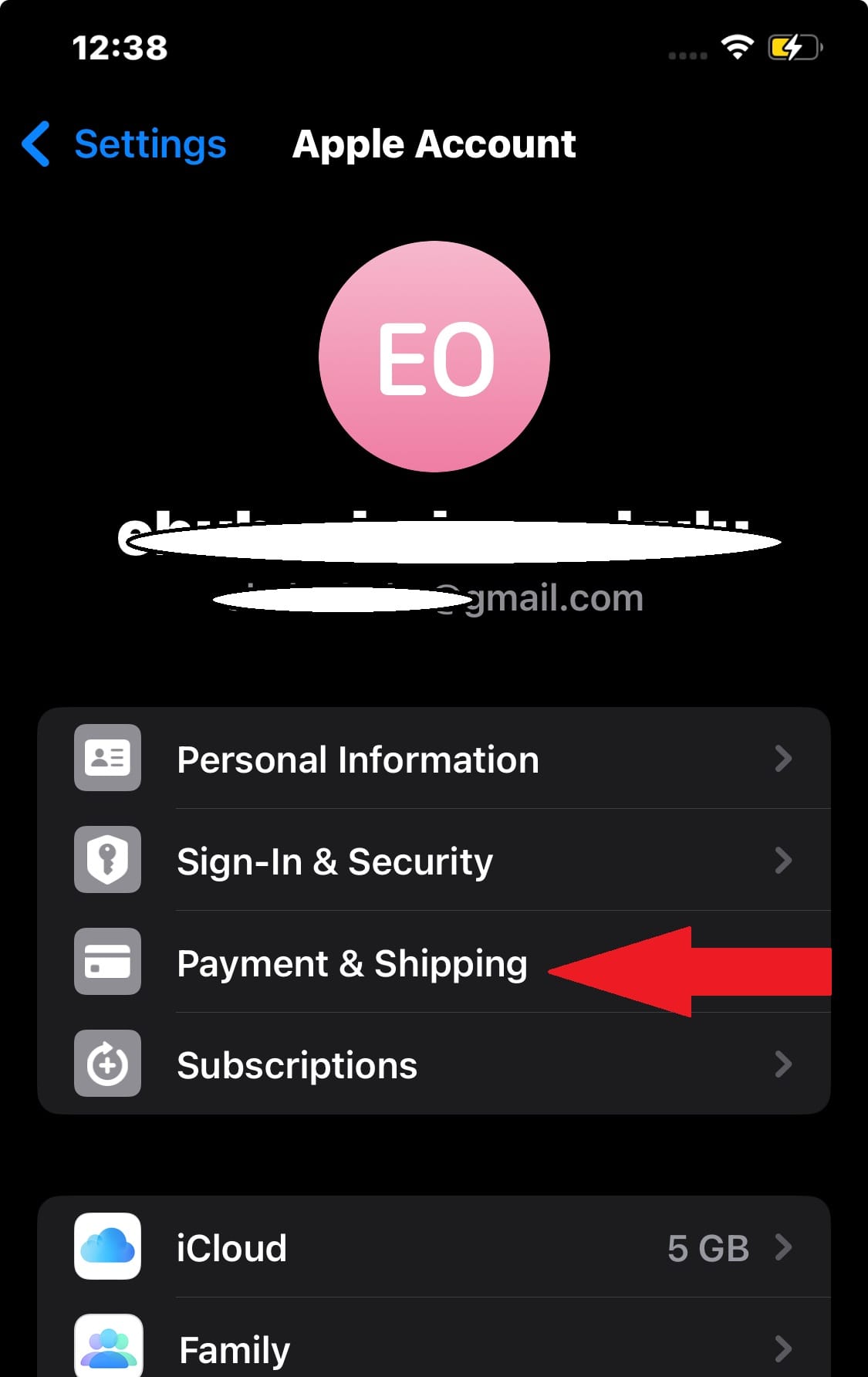 Apple Account settings screen showing the Payment and Shipping option on iPhone