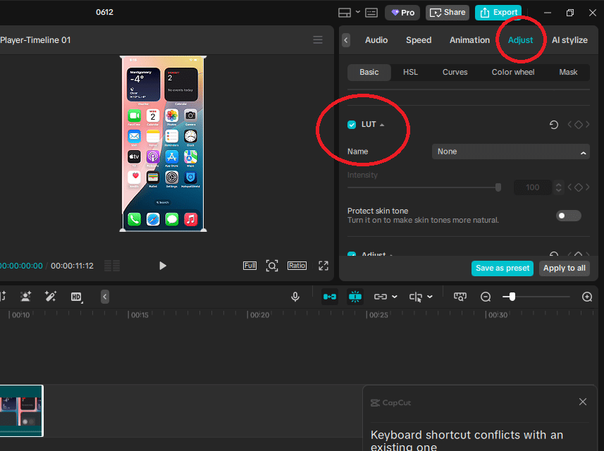 Image showing LUT in CapCut Desktop